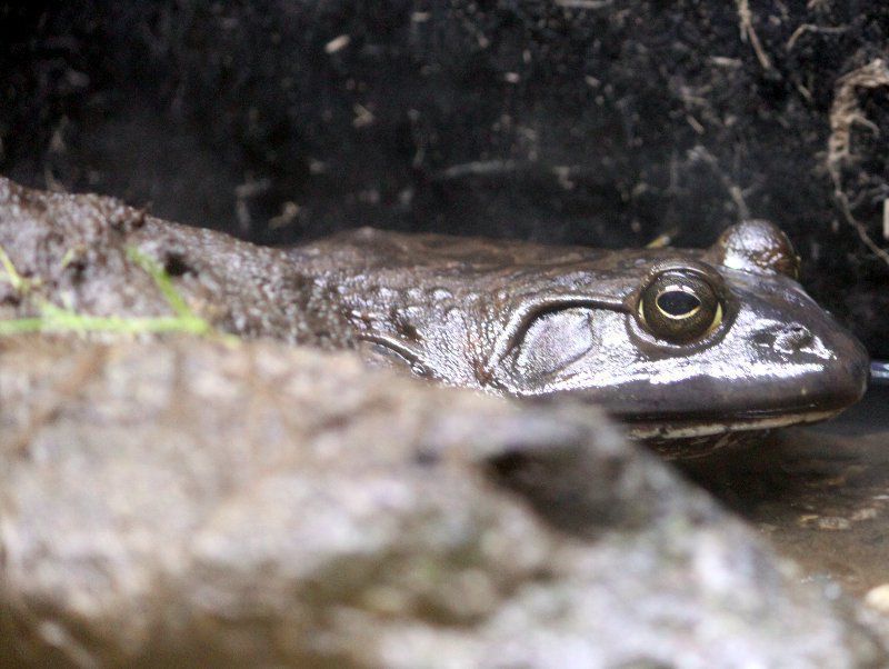 �E�V�K�G����